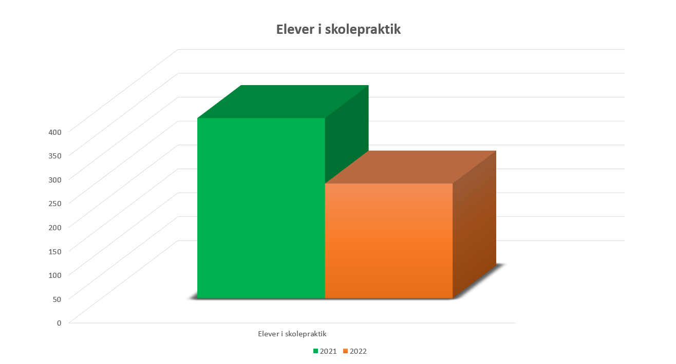 eleveriskolepraktikfald20212022kontor
